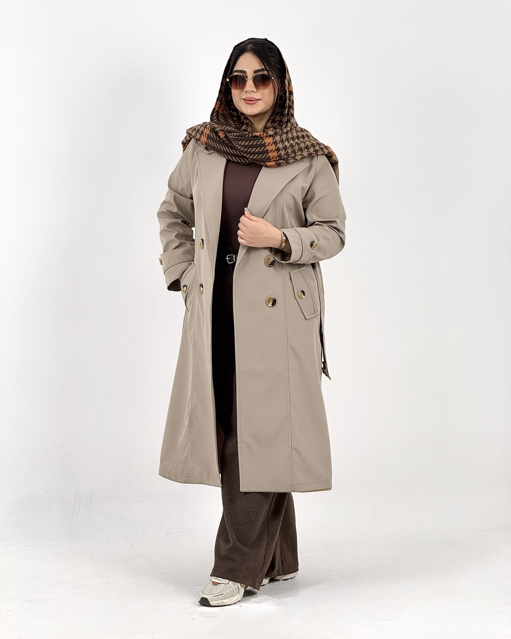 بارونی ارمیتیس