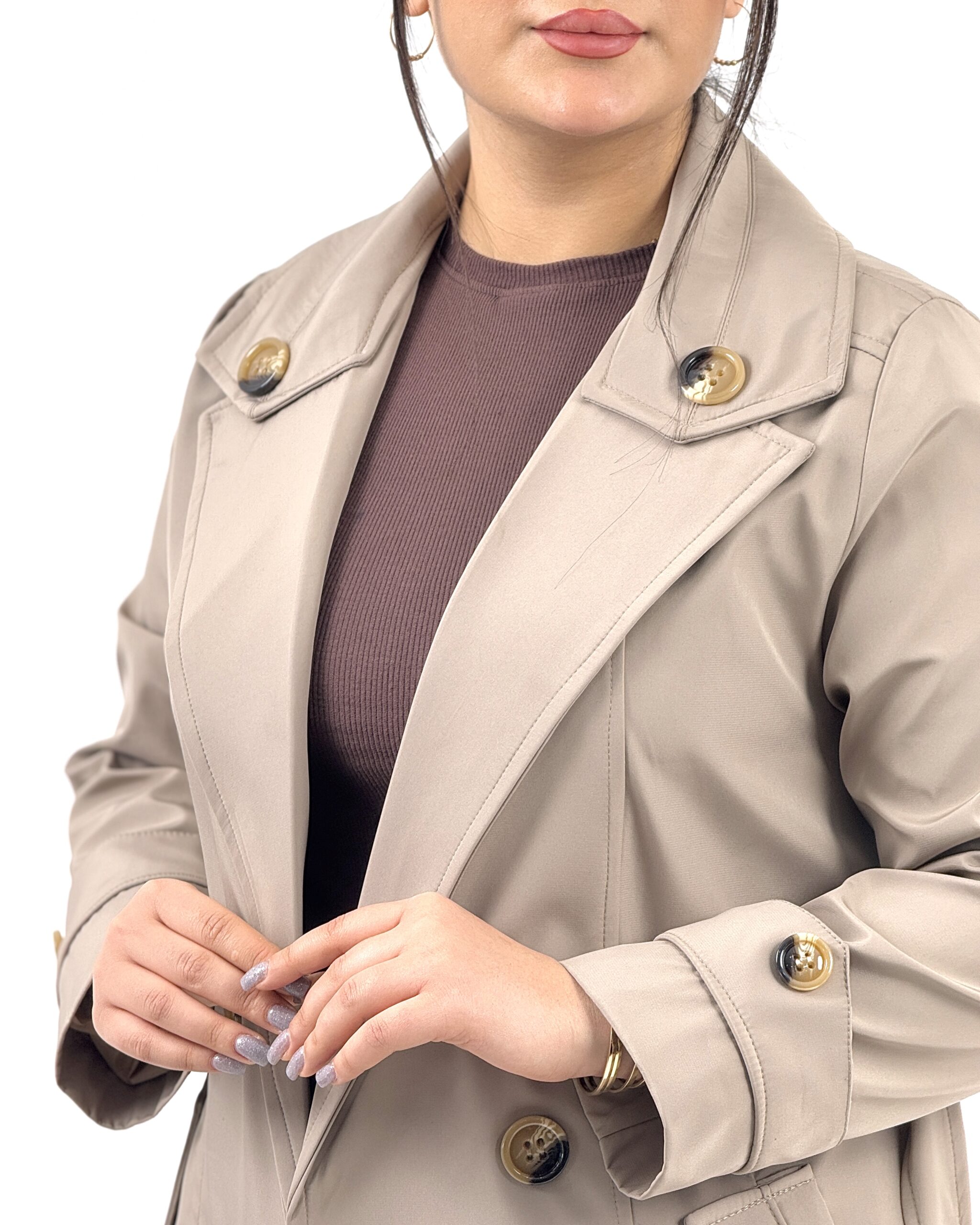 بارونی ارمیتیس - Image 5