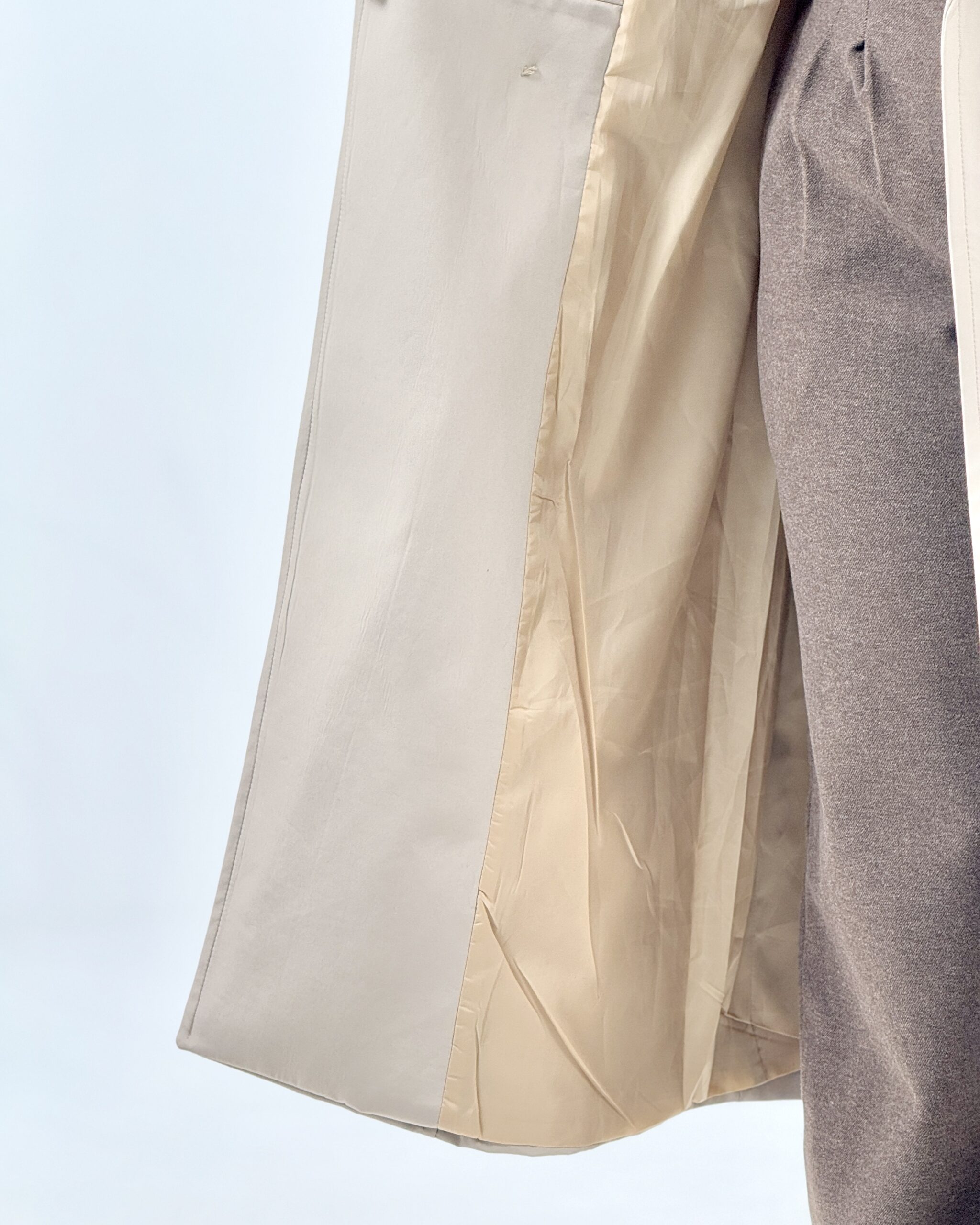 بارونی ارمیتیس - Image 7